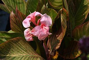 2025-08039856 Tower Hill Botanic Garden, MA